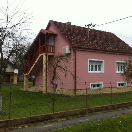 Apartman Anka Ratkovica المظهر الخارجي الصورة